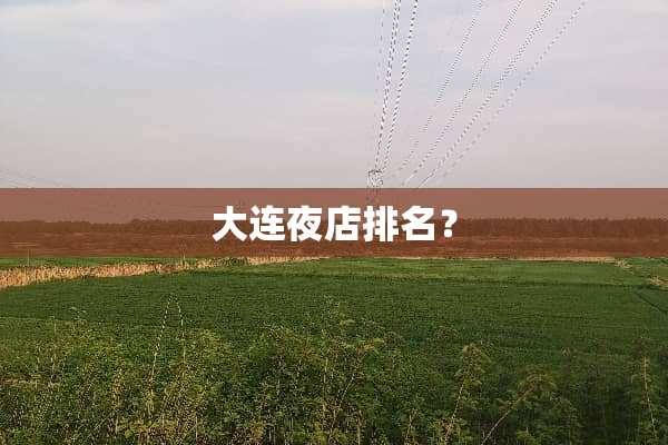 大连夜店排名？