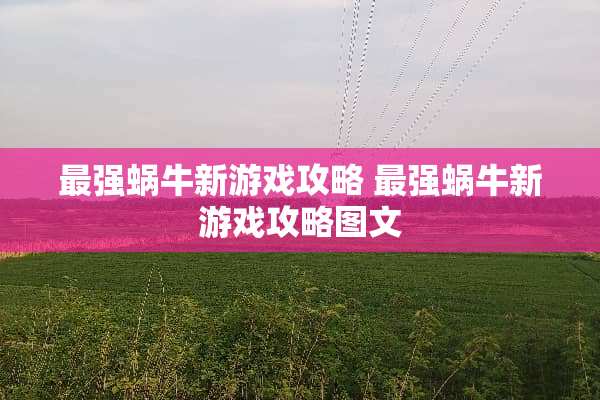 最强蜗牛新游戏攻略 最强蜗牛新游戏攻略图文