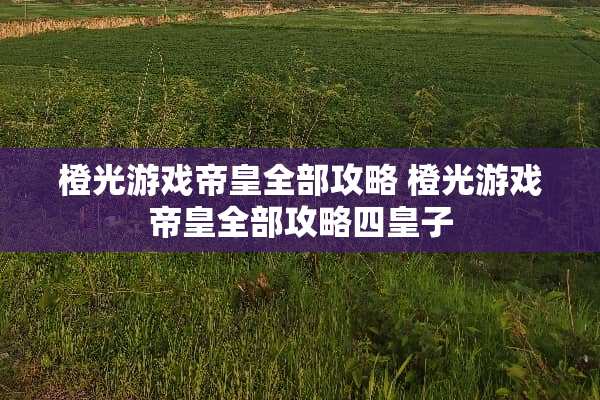 橙光游戏帝皇全部攻略 橙光游戏帝皇全部攻略四皇子