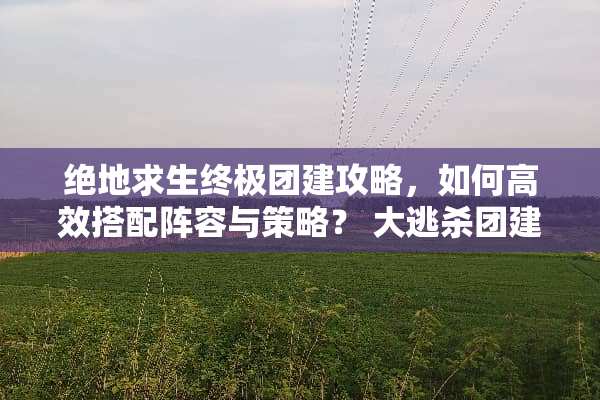 绝地求生终极团建攻略，如何高效搭配阵容与策略？ 大逃杀团建游戏攻略