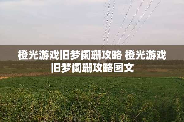 橙光游戏旧梦阑珊攻略 橙光游戏旧梦阑珊攻略图文