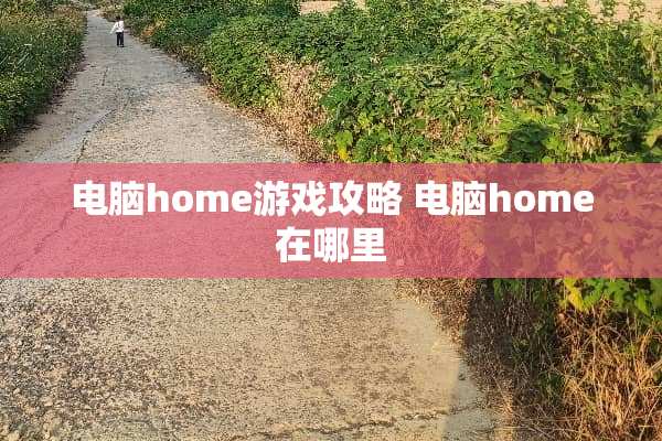 电脑home游戏攻略 电脑home在哪里
