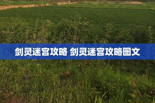 剑灵迷宫攻略 剑灵迷宫攻略图文