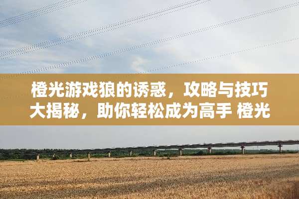 橙光游戏狼的**，攻略与技巧大揭秘，助你轻松成为高手 橙光游戏狼的**攻略