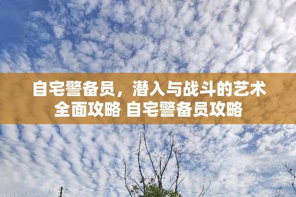 自宅警备员，潜入与战斗的艺术全面攻略 自宅警备员攻略