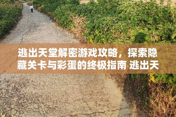 逃出天堂解密游戏攻略，探索隐藏关卡与彩蛋的终极指南 逃出天堂解密游戏攻略