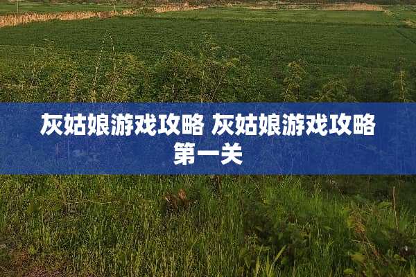 灰姑娘游戏攻略 灰姑娘游戏攻略第一关