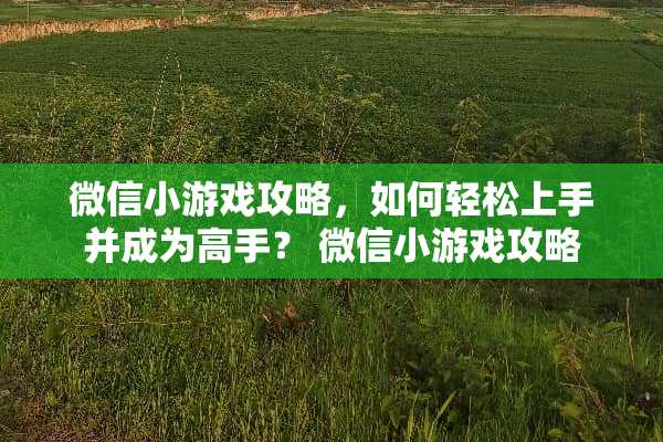 微信小游戏攻略，如何轻松上手并成为高手？ 微信小游戏攻略