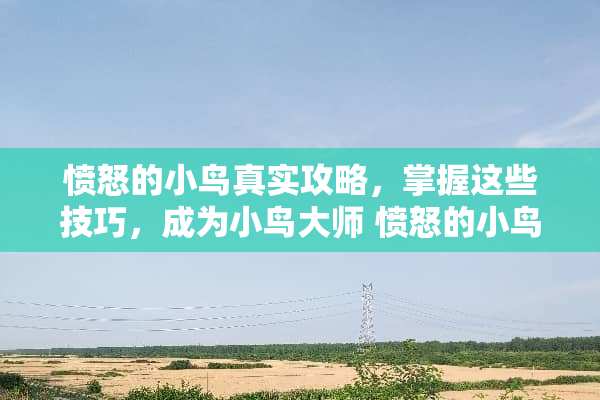 愤怒的小鸟真实攻略，掌握这些技巧，成为小鸟大师 愤怒的小鸟真实攻略游戏