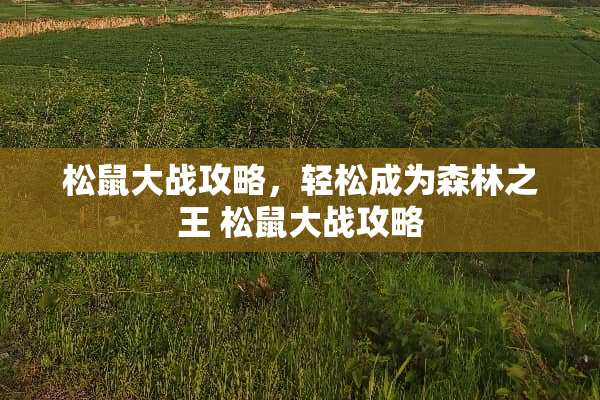松鼠大战攻略，轻松成为森林之王 松鼠大战攻略