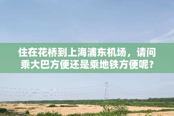 住在花桥到上海浦东机场，请问乘大巴方便还是乘地铁方便呢？