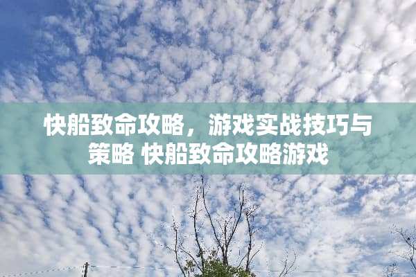 快船致命攻略，游戏实战技巧与策略 快船致命攻略游戏
