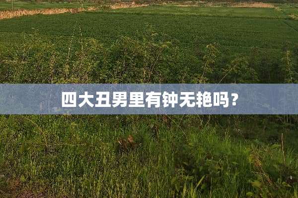 四大丑男里有钟无艳吗？