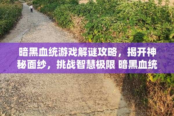 暗黑血统游戏解谜攻略，揭开神秘面纱，挑战智慧极限 暗黑血统游戏解谜攻略
