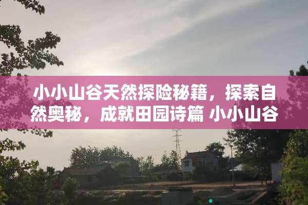 小小山谷天然探险秘籍，探索自然奥秘，成就田园诗篇 小小山谷游戏攻略天然