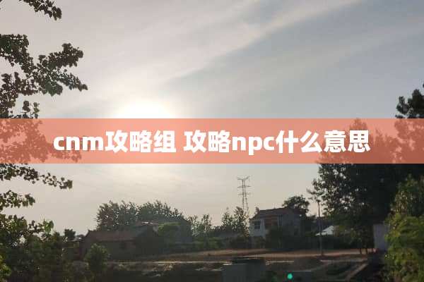 cnm攻略组 攻略npc什么意思