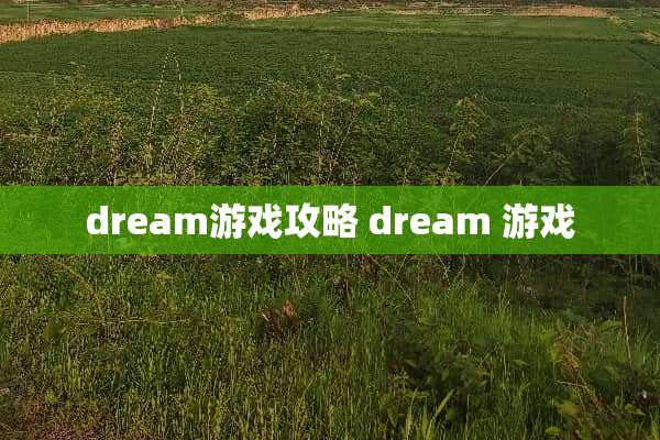 dream游戏攻略 dream 游戏