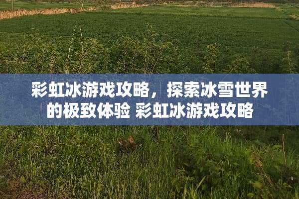 彩虹冰游戏攻略，探索冰雪世界的极致体验 彩虹冰游戏攻略
