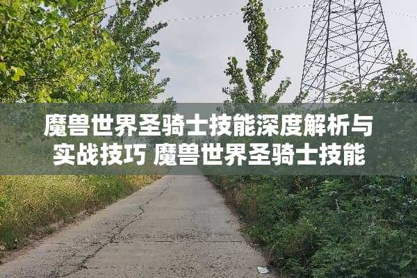 魔兽世界圣骑士技能深度解析与实战技巧 魔兽世界圣骑士技能