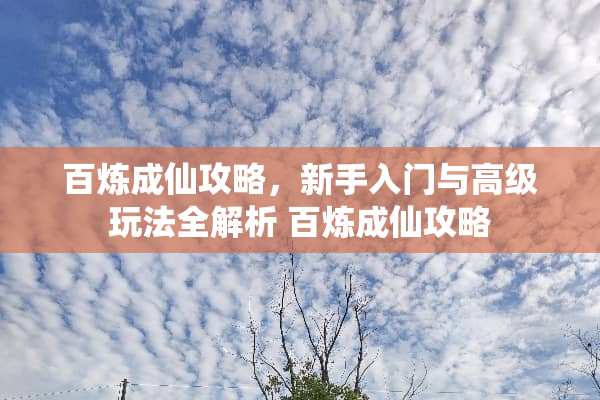 百炼成仙攻略，新手入门与高级玩法全解析 百炼成仙攻略