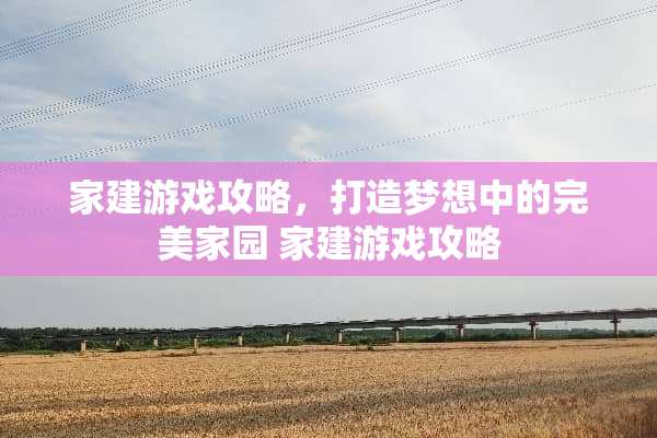 家建游戏攻略，打造梦想中的完美家园 家建游戏攻略