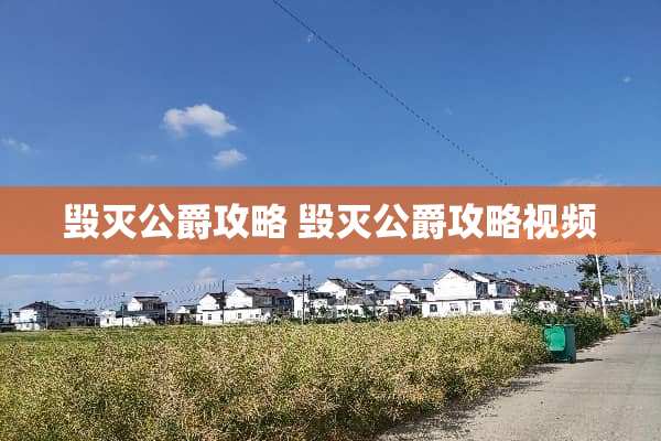 毁灭公爵攻略 毁灭公爵攻略视频