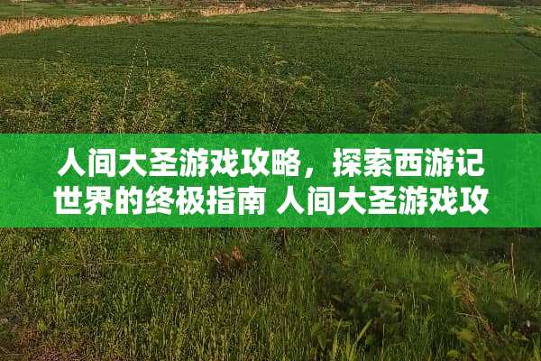 人间大圣游戏攻略，探索西游记世界的终极指南 人间大圣游戏攻略