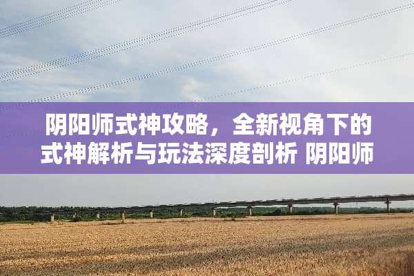 *阳师式神攻略，全新视角下的式神解析与玩法深度剖析 *阳师式神攻略