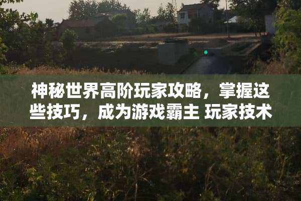 神秘世界高阶玩家攻略，掌握这些技巧，成为游戏霸主 玩家技术攻略游戏