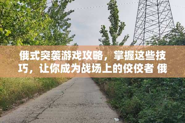 俄式突袭游戏攻略，掌握这些技巧，让你成为战场上的佼佼者 俄式突袭游戏攻略