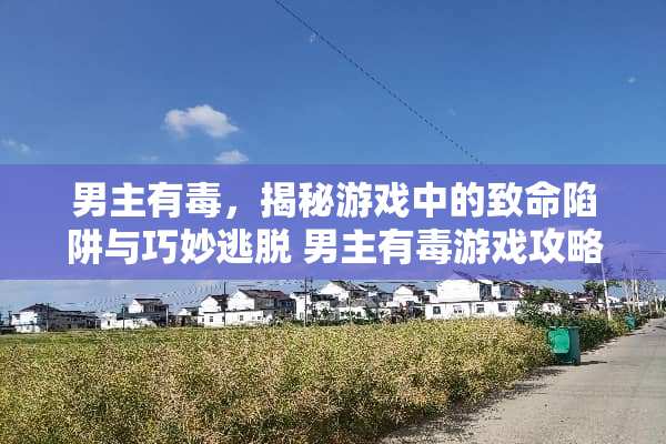 男主有毒，揭秘游戏中的致命陷阱与巧妙逃脱 男主有毒游戏攻略