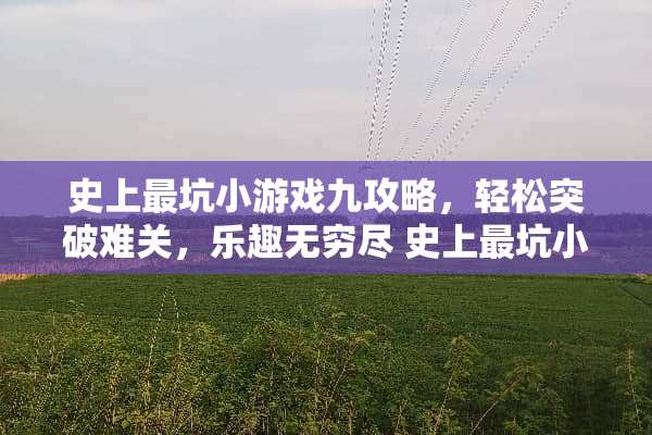 史上最坑小游戏九攻略，轻松突破难关，乐趣无穷尽 史上最坑小游戏九攻略