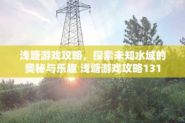 浅塘游戏攻略，探索未知水域的奥秘与乐趣 浅塘游戏攻略131