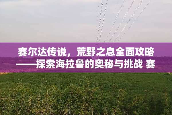 赛尔达传说，荒野之息全面攻略——探索海拉鲁的奥秘与挑战 赛尔达攻略游戏