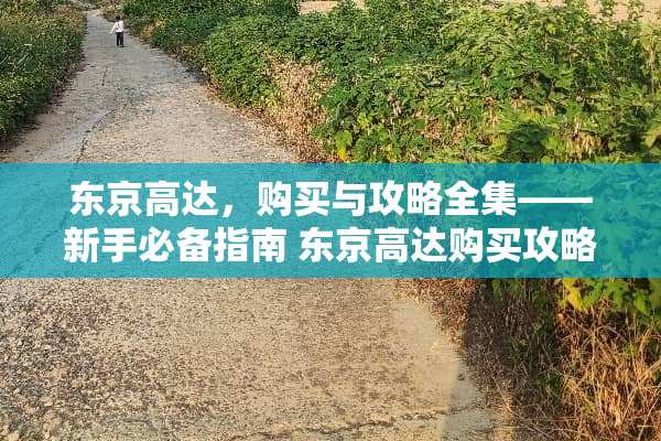 东京高达，购买与攻略全集——新手必备指南 东京高达购买攻略游戏