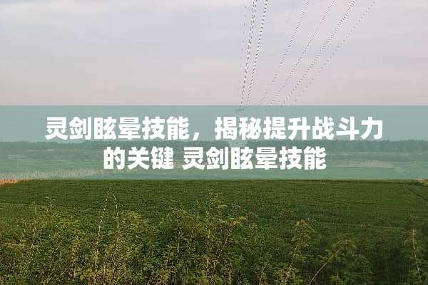 灵剑眩晕技能，揭秘提升战斗力的关键 灵剑眩晕技能