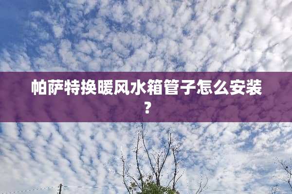 ***换暖风水箱管子怎么安装？