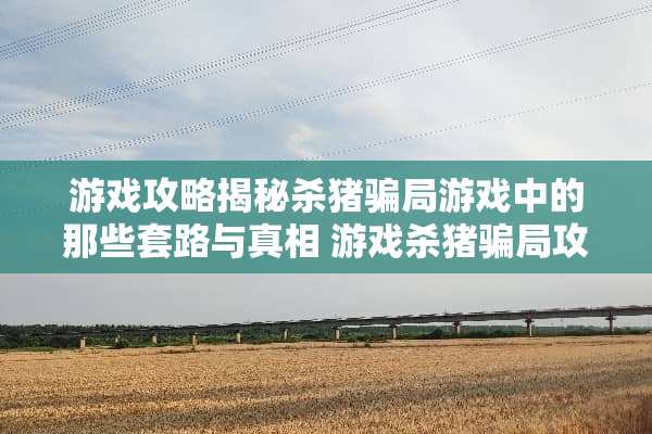 游戏攻略揭秘杀猪**游戏中的那些套路与** 游戏杀猪**攻略