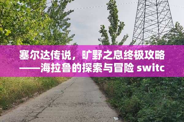 塞尔达传说，旷野之息终极攻略——海拉鲁的探索与冒险 switch奥德赛攻略