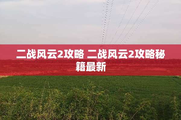 二战风云2攻略 二战风云2攻略秘籍最新