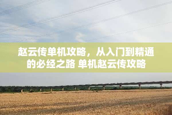 赵云传单机攻略，从入门到精通的必经之路 单机赵云传攻略