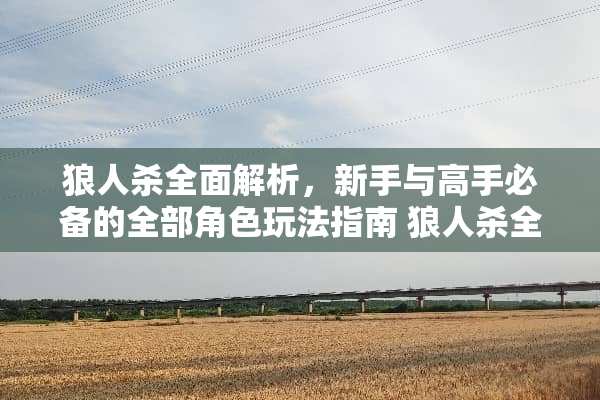 狼人杀全面解析，新手与高手必备的全部角色玩法指南 狼人杀全部角色玩法