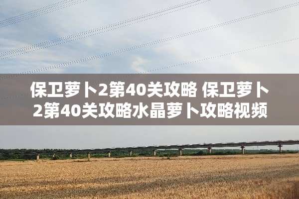 保卫萝卜2第40关攻略 保卫萝卜2第40关攻略水晶萝卜攻略视频教程