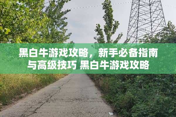黑白牛游戏攻略，新手必备指南与高级技巧 黑白牛游戏攻略
