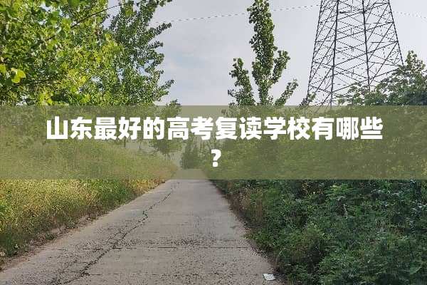 山东最好的高考复读学校有哪些？