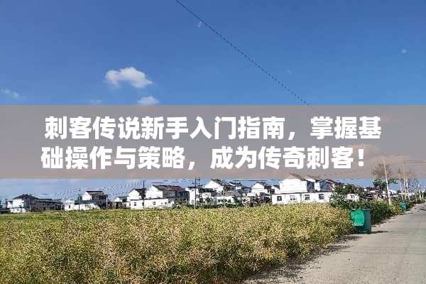 刺客传说新手入门指南，掌握基础操作与策略，成为传奇刺客！ 刺客传说游戏攻略新手