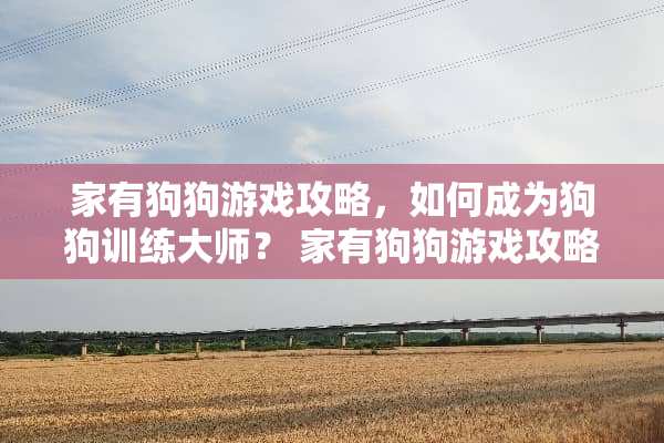 家有狗狗游戏攻略，如何成为狗狗训练大师？ 家有狗狗游戏攻略