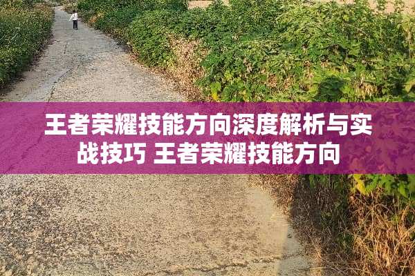 王者荣耀技能方向深度解析与实战技巧 王者荣耀技能方向