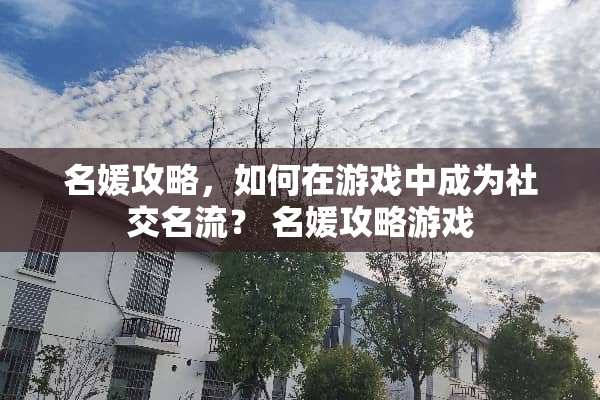 名媛攻略，如何在游戏中成为社交名流？ 名媛攻略游戏