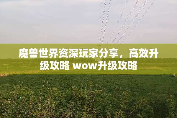 魔兽世界资深玩家分享，高效升级攻略 wow升级攻略